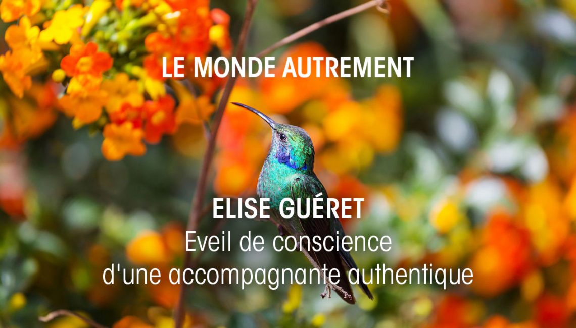 Le-monde-autrement-Elise-Guéret