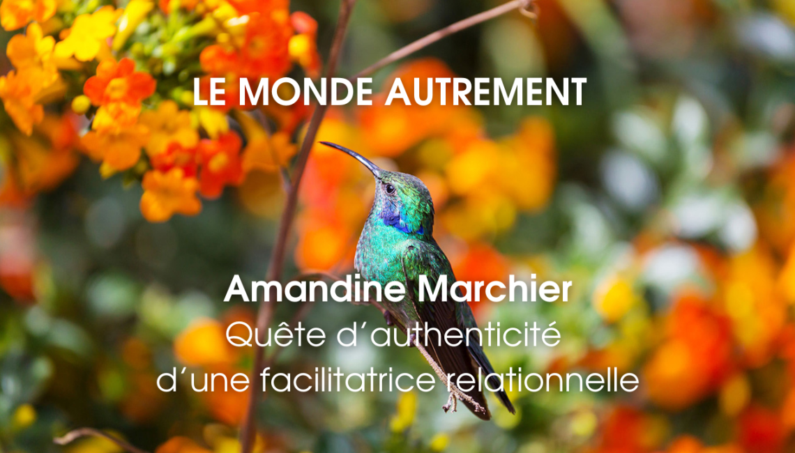 LE MONDE AUTREMENT- Amandine Marchier LE MONDE AUTREMENT- Amandine Marchier