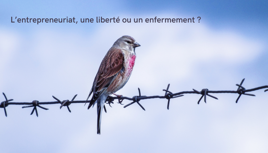 L’entrepreneuriat, une liberté ou un enfermement