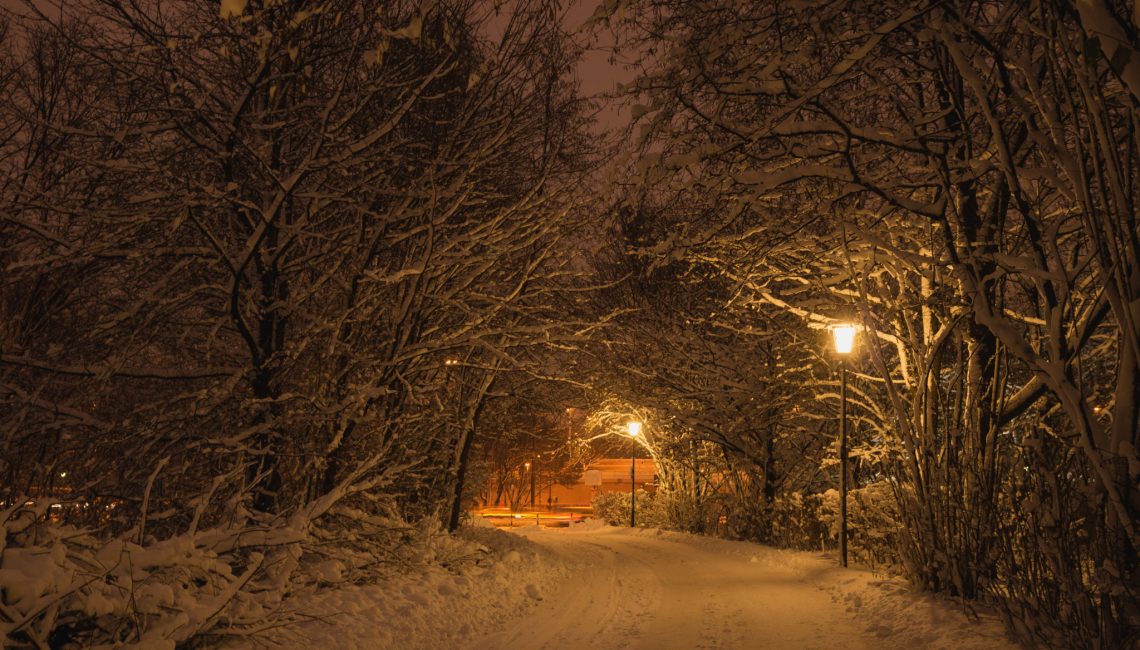 Mon-merveilleux-malheur