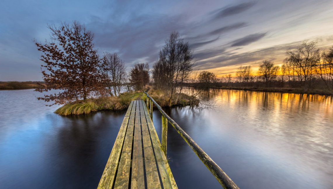 Que-diriez-vous-de-faire-de-2020-une-année-constructive