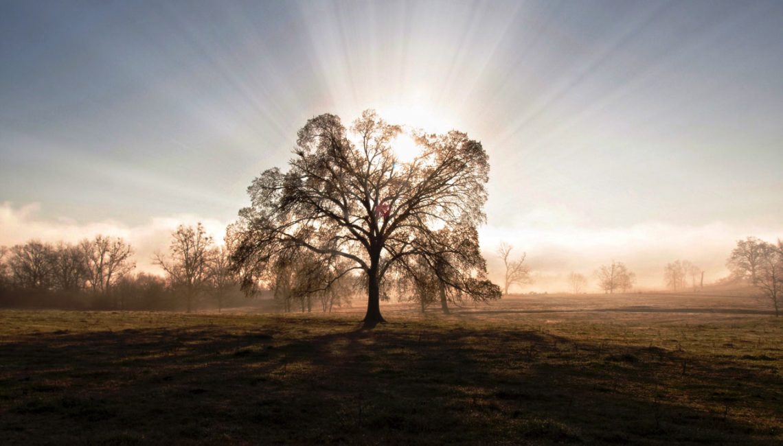 Vivez-Autrement-et-créez-une-activité-indépendante-alignée-et-rayonnante