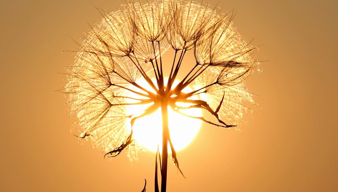 image couverture livre Emilie Grégoire