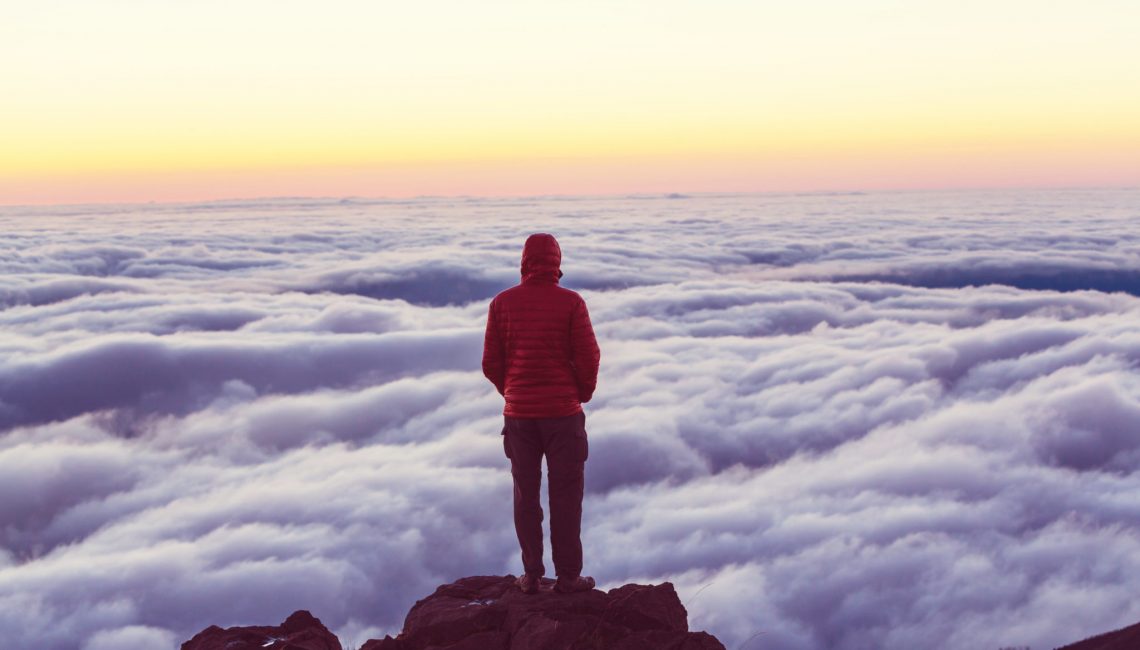 Transcender-ses-émotions-et-contribuer-au-monde